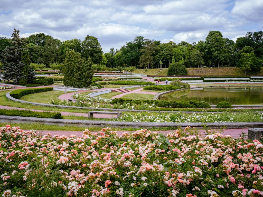 jardin